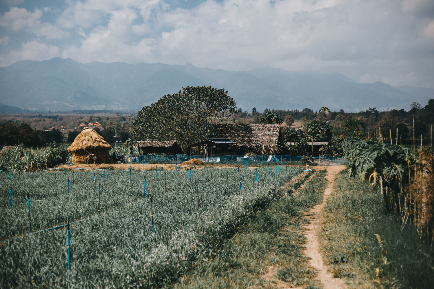 Underserved rural community with limited mental health access